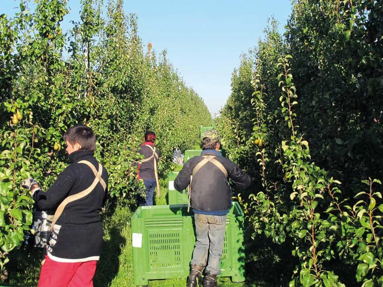Od 1 stycznia 2018 r. nowe zasady zatrudniania cudzoziemców