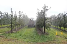 Trwałość cieczy roboczej