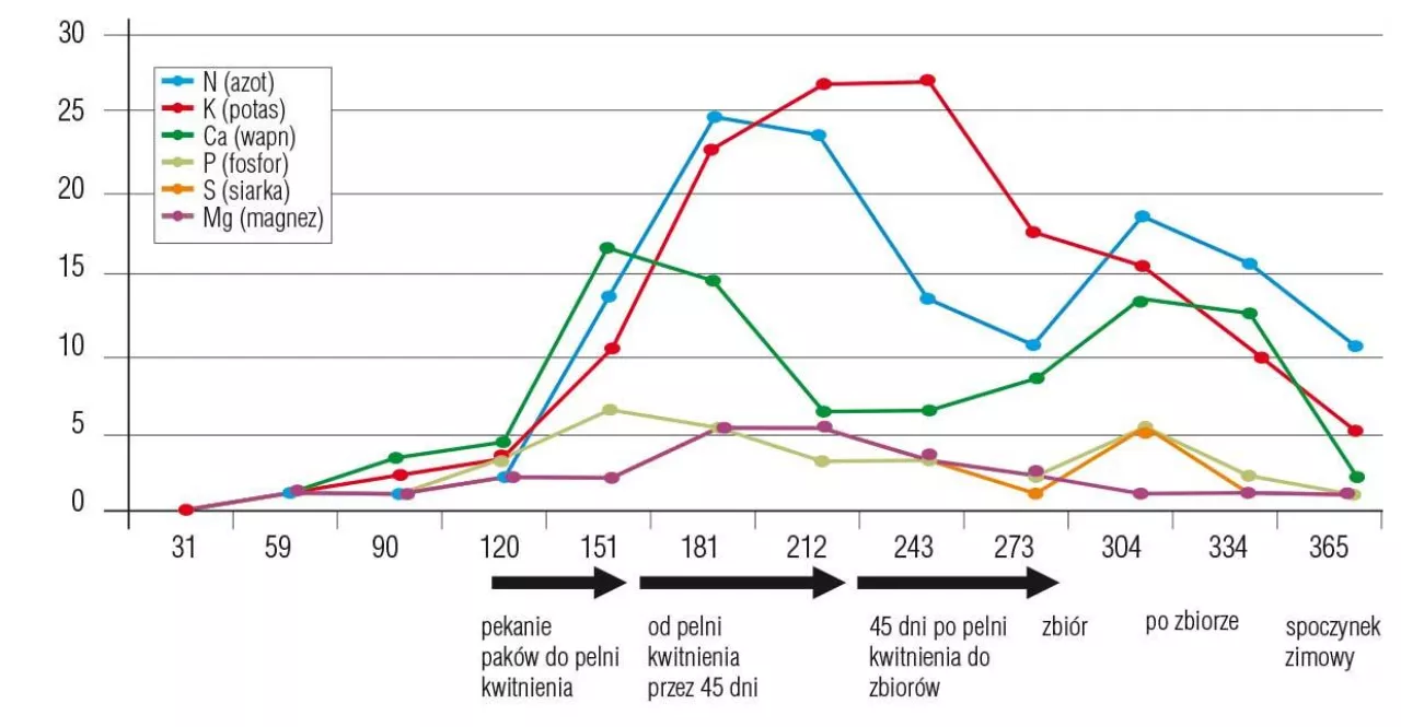 Rysunek 1. Pobieranie składników pokarmowych w poszczególnych fazach rozwojowych drzew w sadzie intensywnym (w kg z hektara)