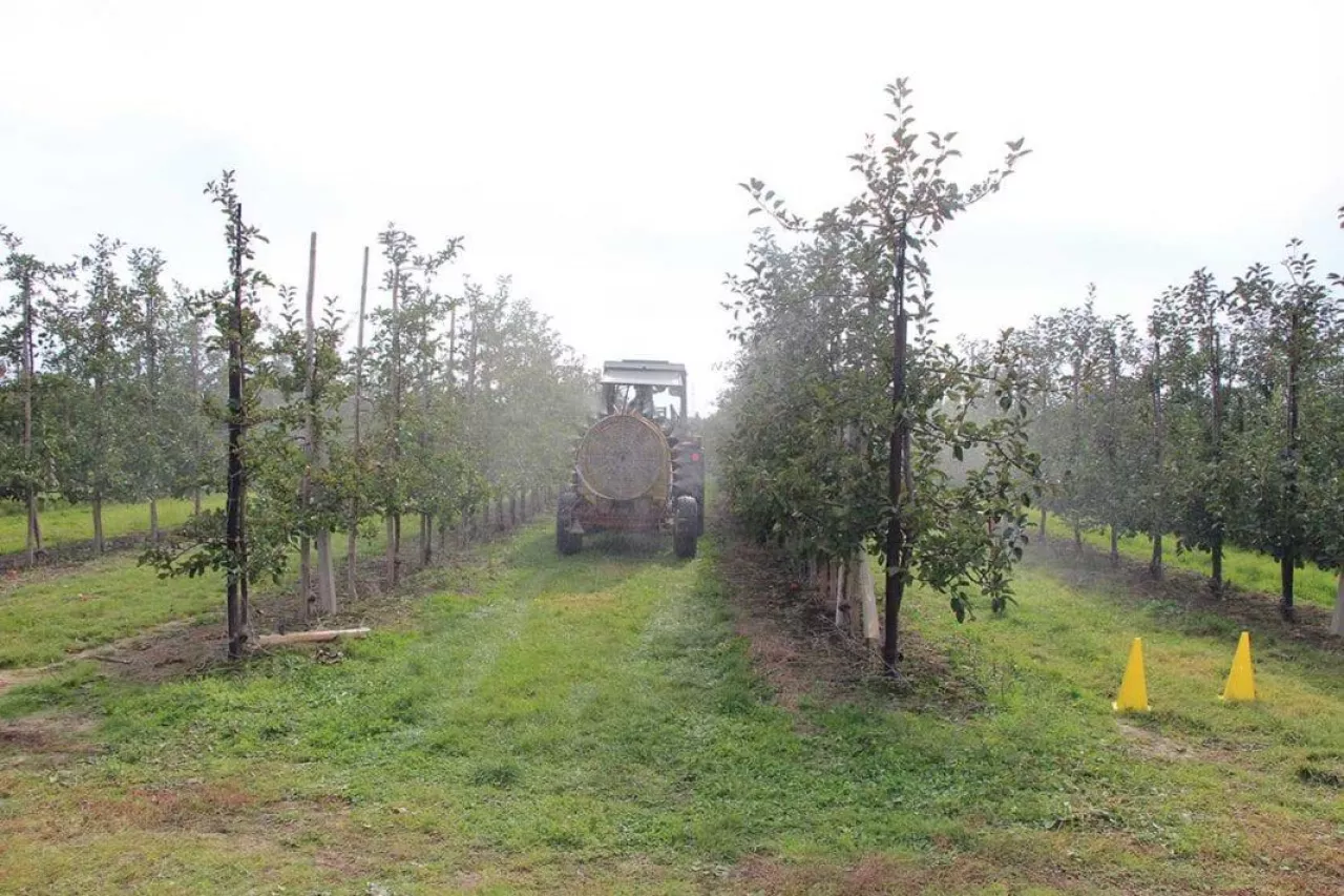 Trwałość cieczy roboczej