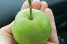 Lustracje pod kątem przędziorków i pordzewiaczy – praktyczne porady