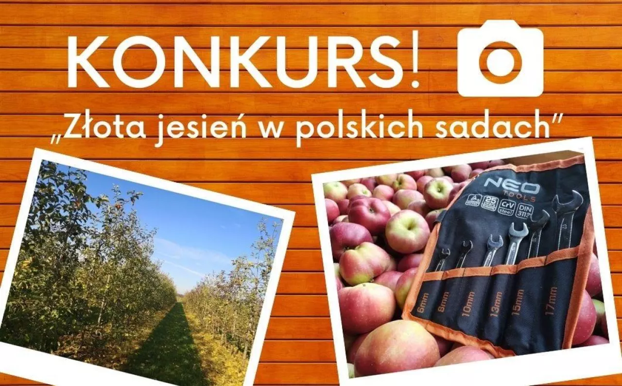 Konkurs FB ”Złota jesień w sadach”