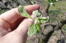 Dobrze rozpocząć sezon