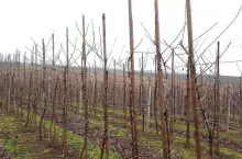 Zmiany za wschodnią granicą