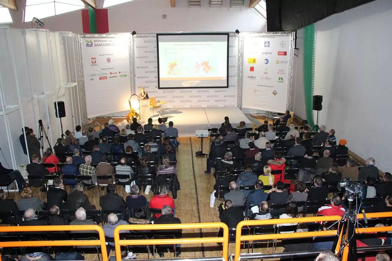 Czereśniowo w Sandomierzu