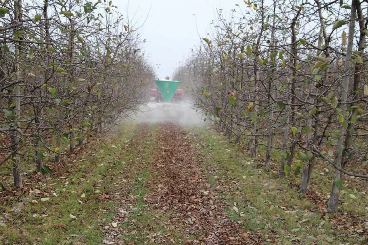 Nowe trendy w nawożeniu i ochronie upraw sadowniczych