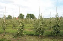 Problemy produkcyjne (nie tylko) w Południowym Tyrolu