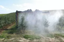 Integrowana Produkcja dziś i jutro