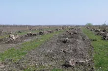 Przygotowanie kwatery do sadzenia drzewek