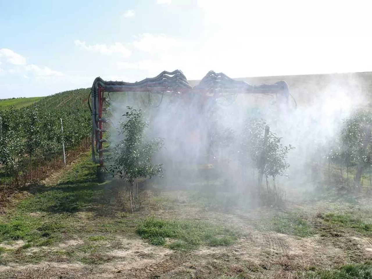 Integrowana Produkcja dziś i jutro