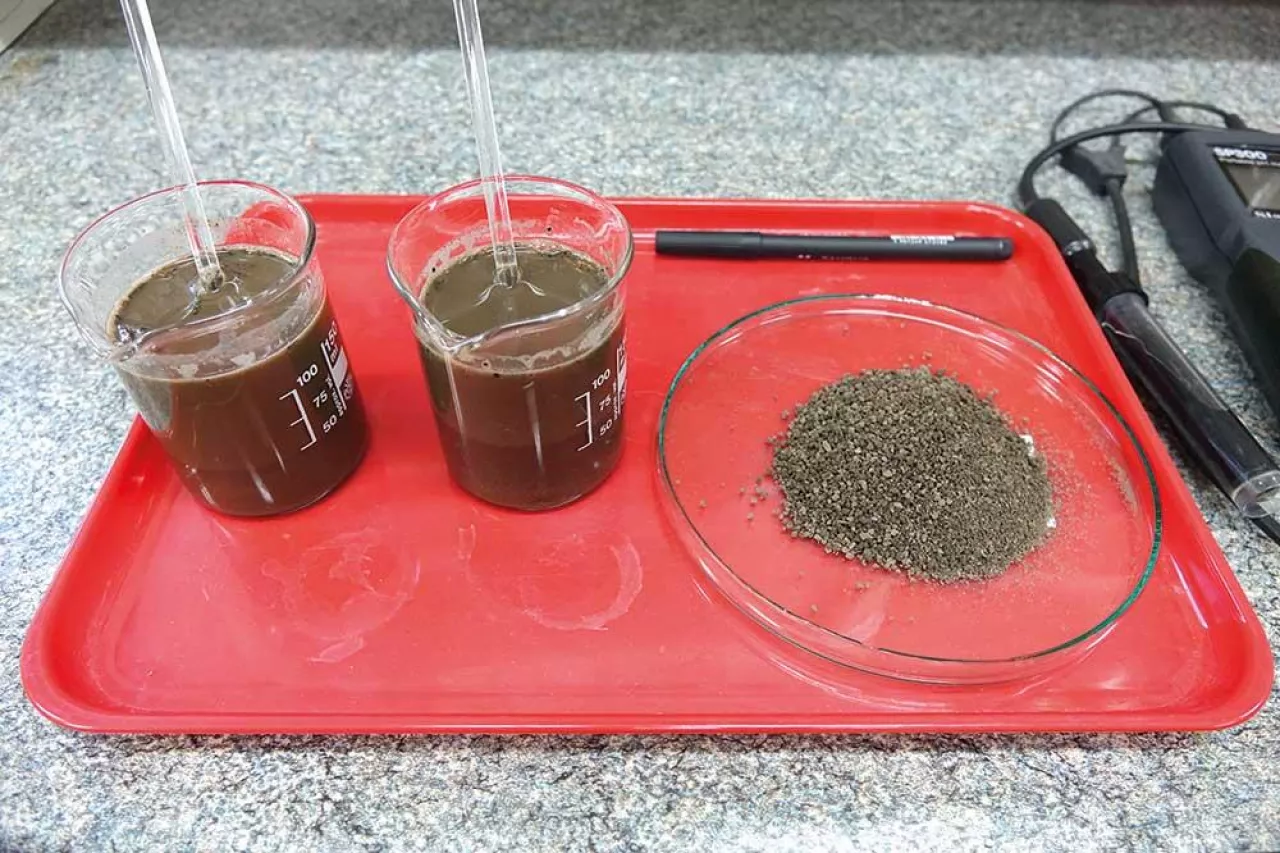 Analiza pobranej gleby