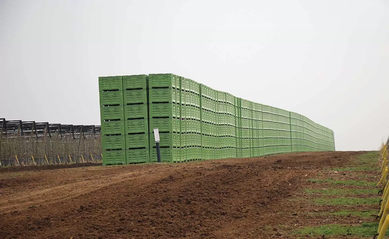 Przed zapełnieniem komór