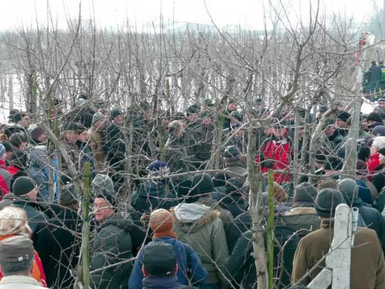 Sadownicy uczestniczący w pokazie cięcia jabłoni