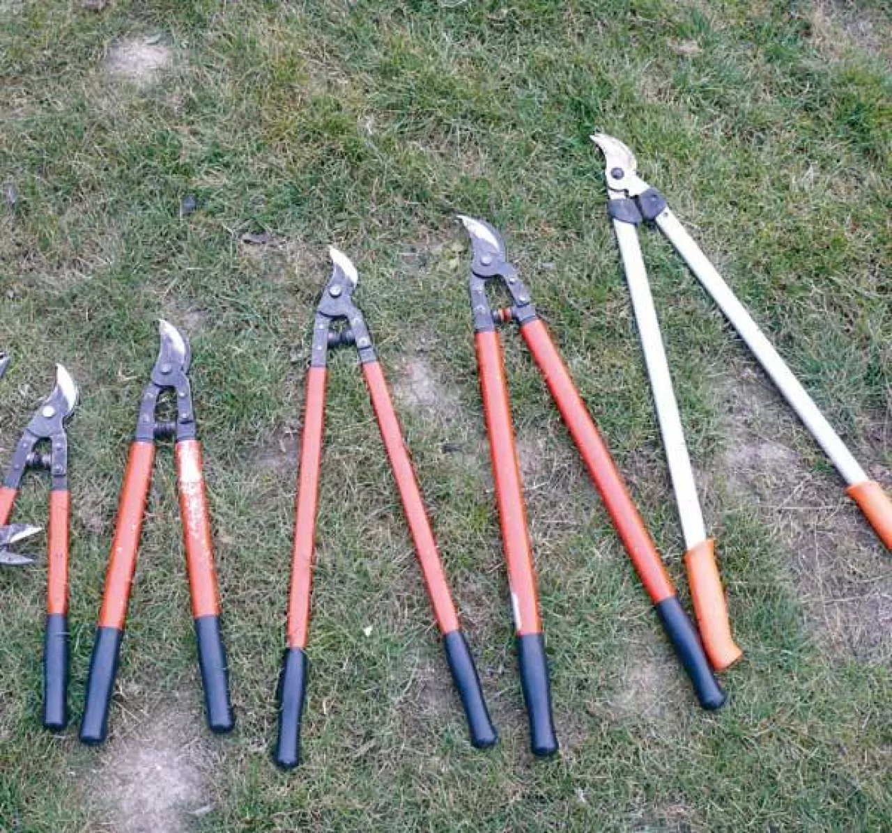 Sekatory nożycowe dwuręczne o różnej długości ramion