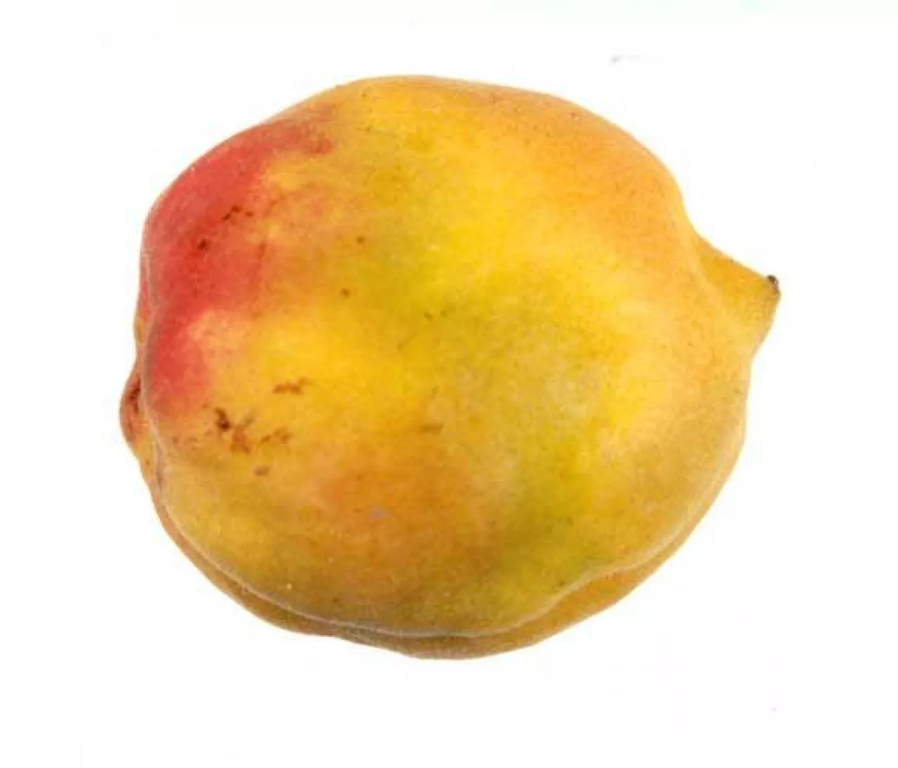 Objawy wywoływane przez PPV na owocach moreli