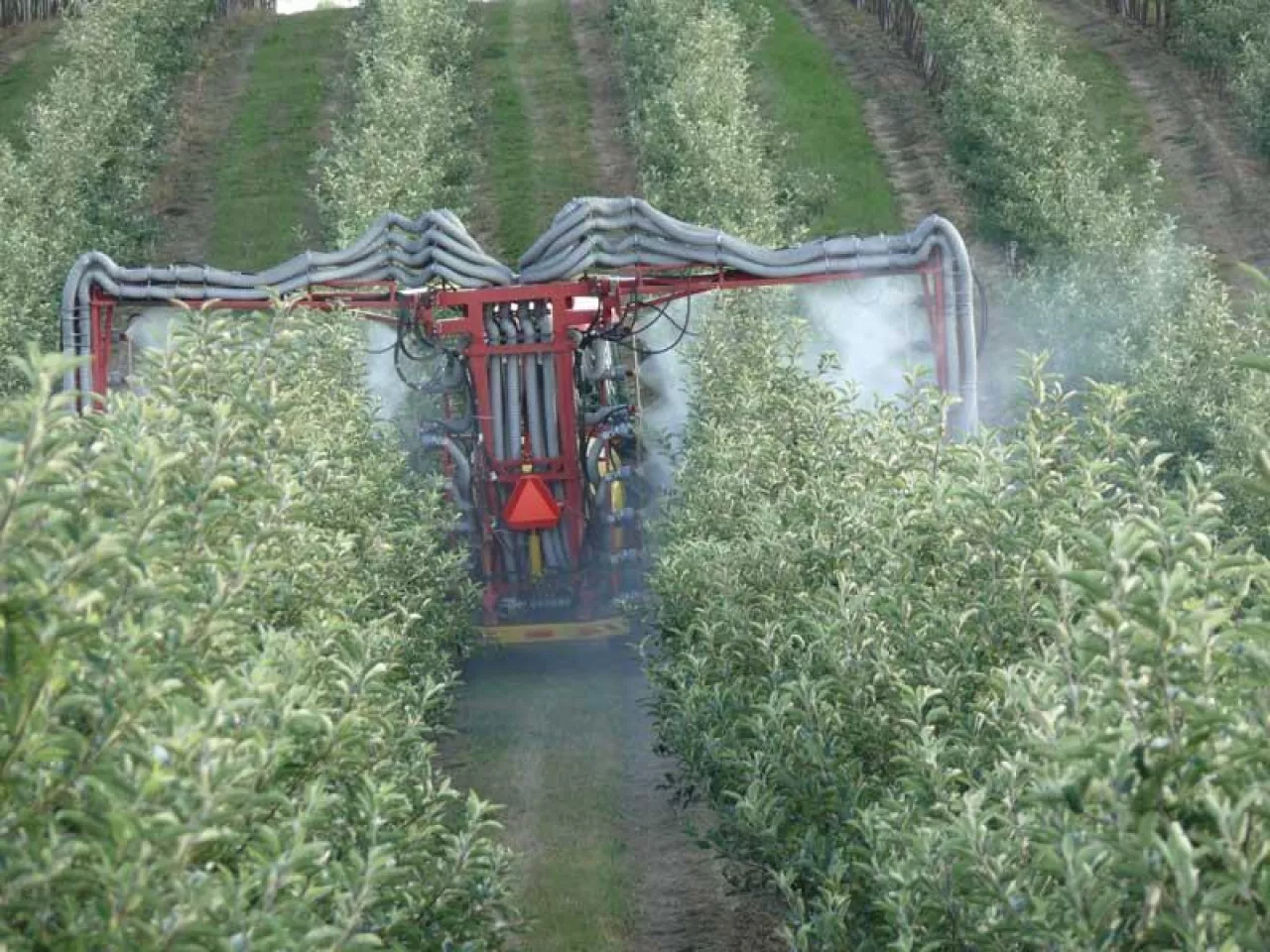 Opryskiwacz dwurzędowy Tropic 2 SJ…