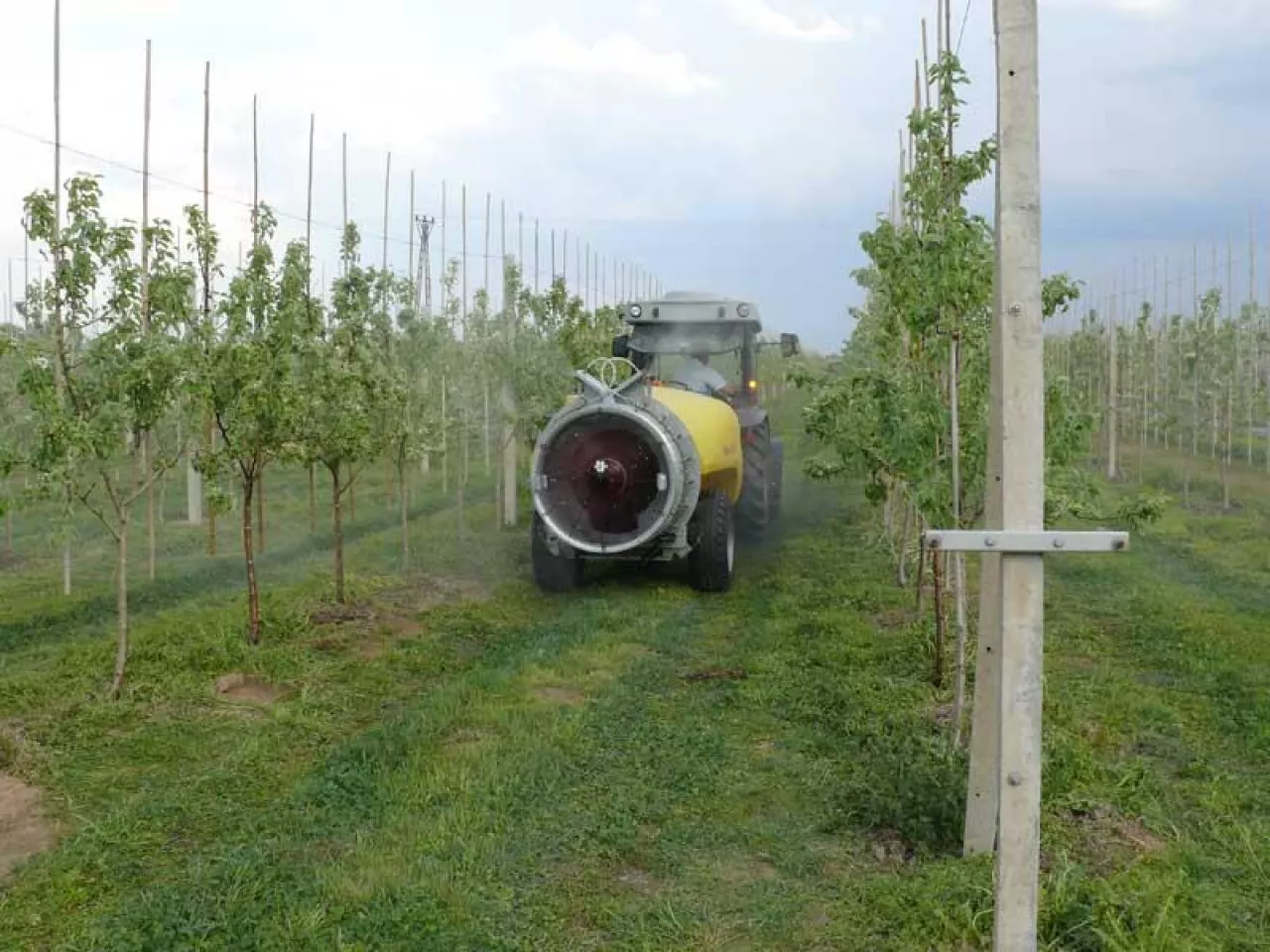 P.P.H.U. ”A.R. Chmielewski” z Kleczanowa