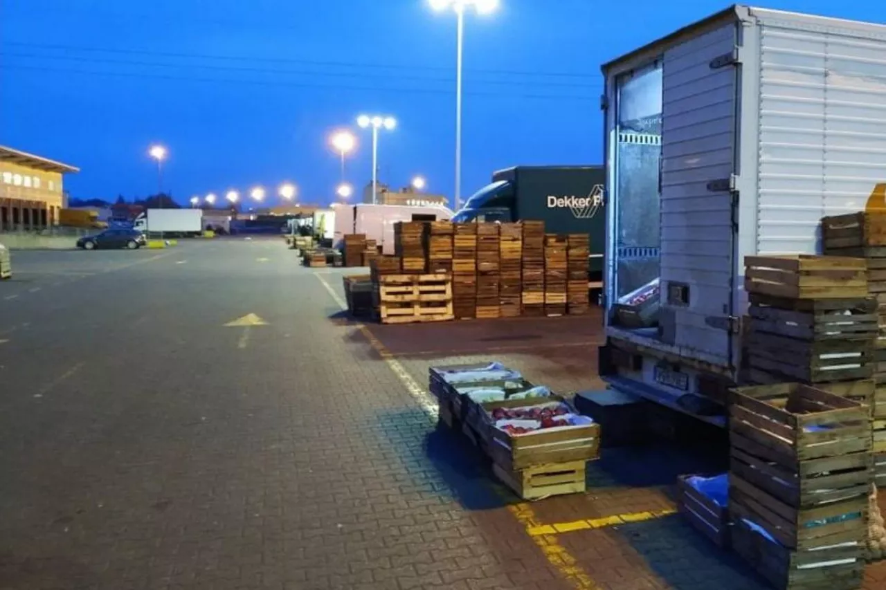 rynek hurtowy w broniszach