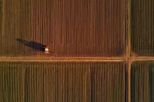 Agricultural tractor with crop sprayer in cultivated corn maize crop field, drone pov top view