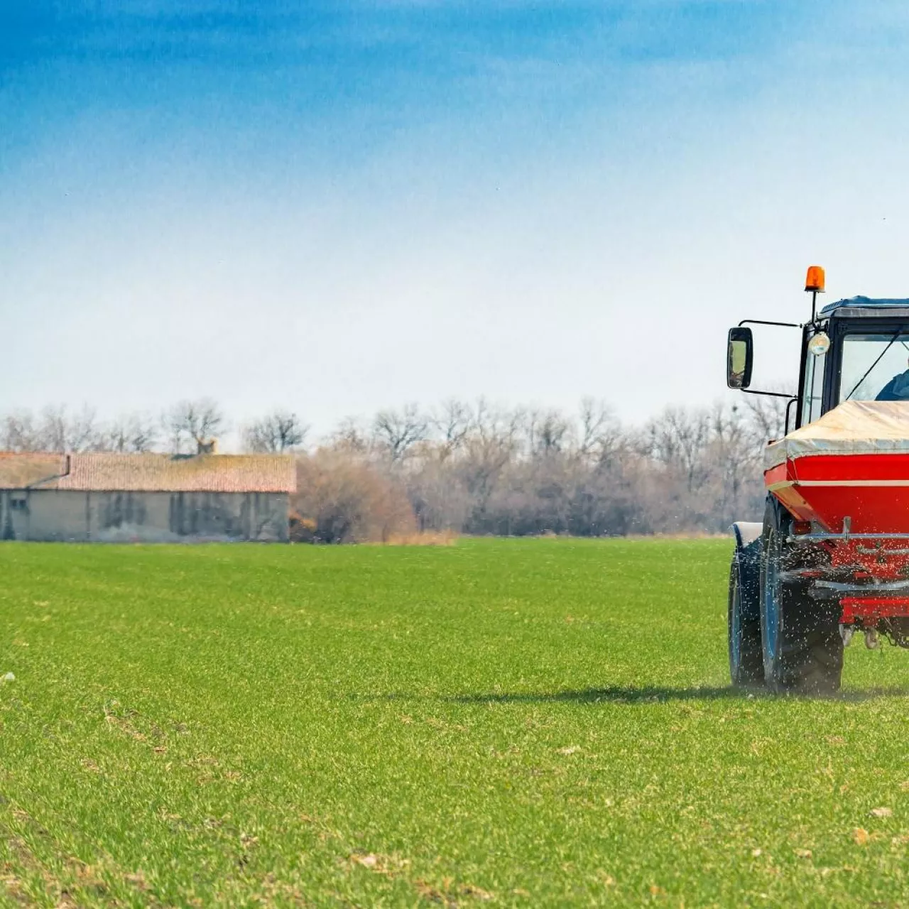 Unrecognizable farmer in agricultural tractor is fertilizing wheat crop field with NPK fertilizer nutrients