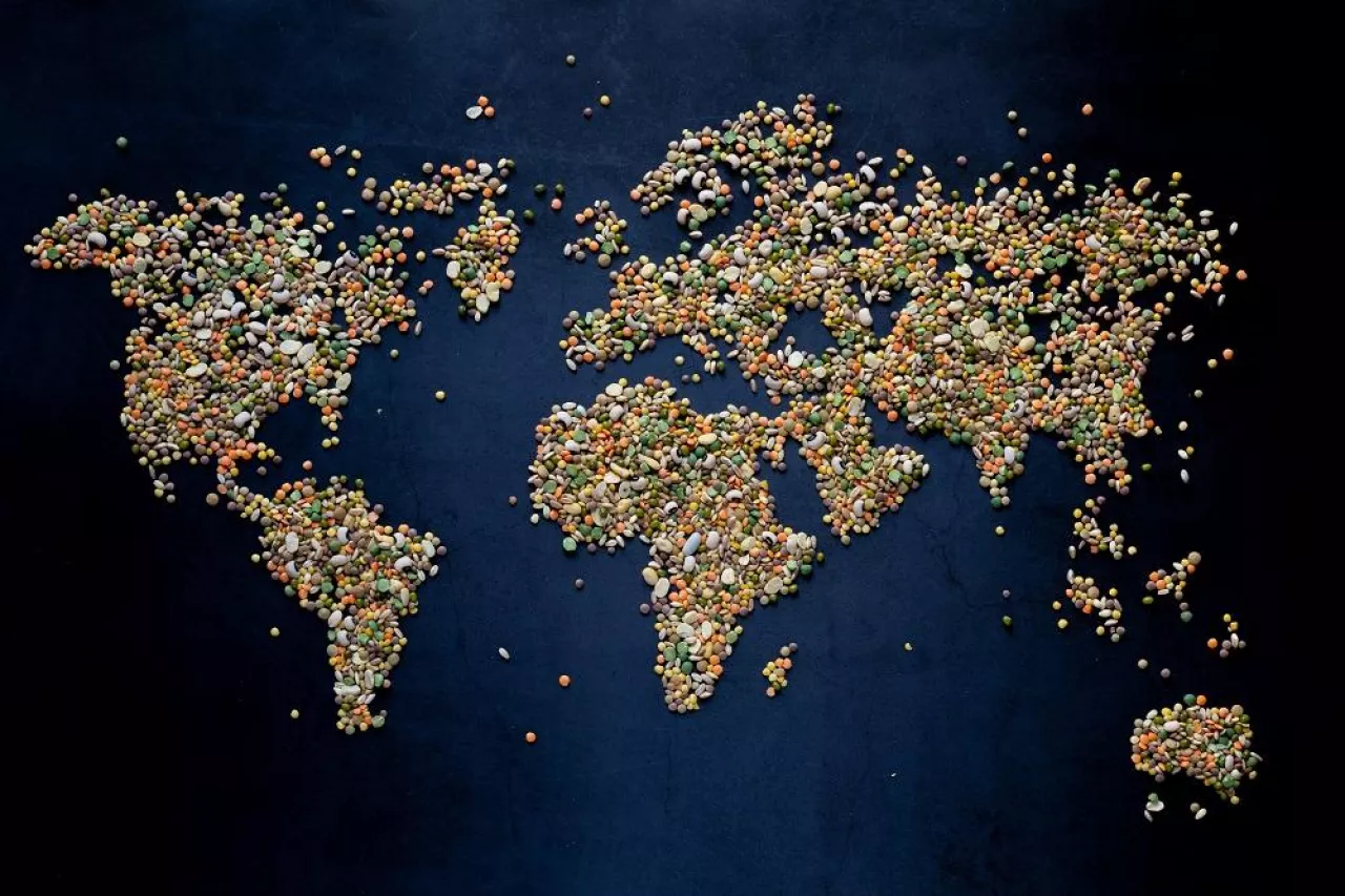 background of the world map, conceptual awareness of vegetarian education no OGM