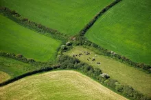 English agricultural fields Aerial view