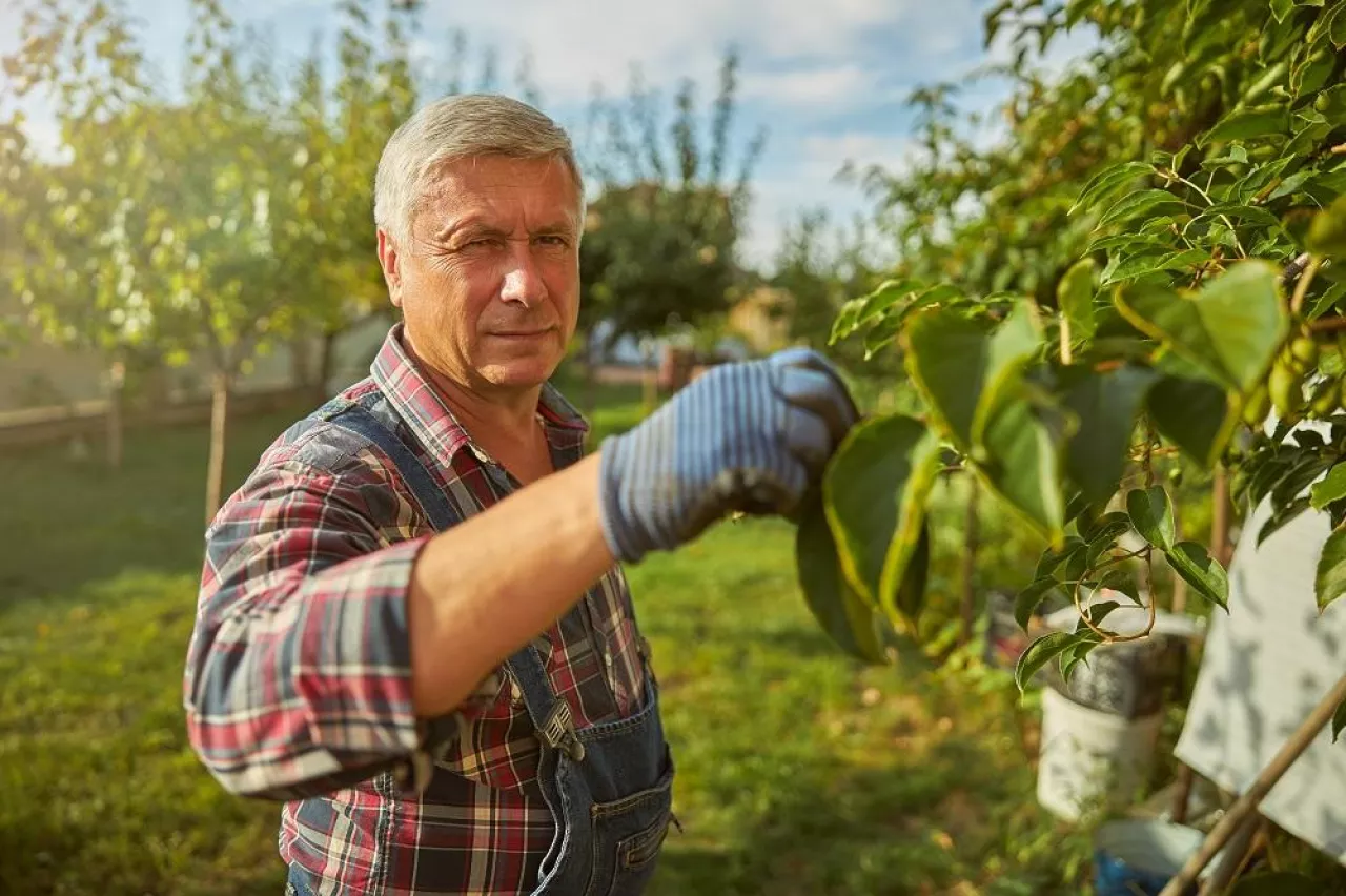 Aged man wearing a checked shirt and gloves touching a tree branch while looking at the camera