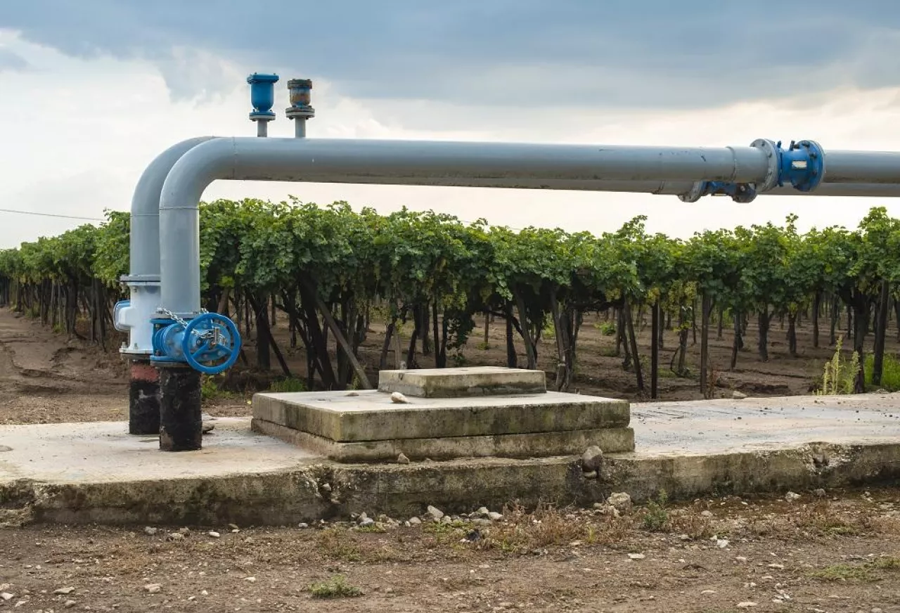 Watering pipes and vineyard. Big irrigation systems.