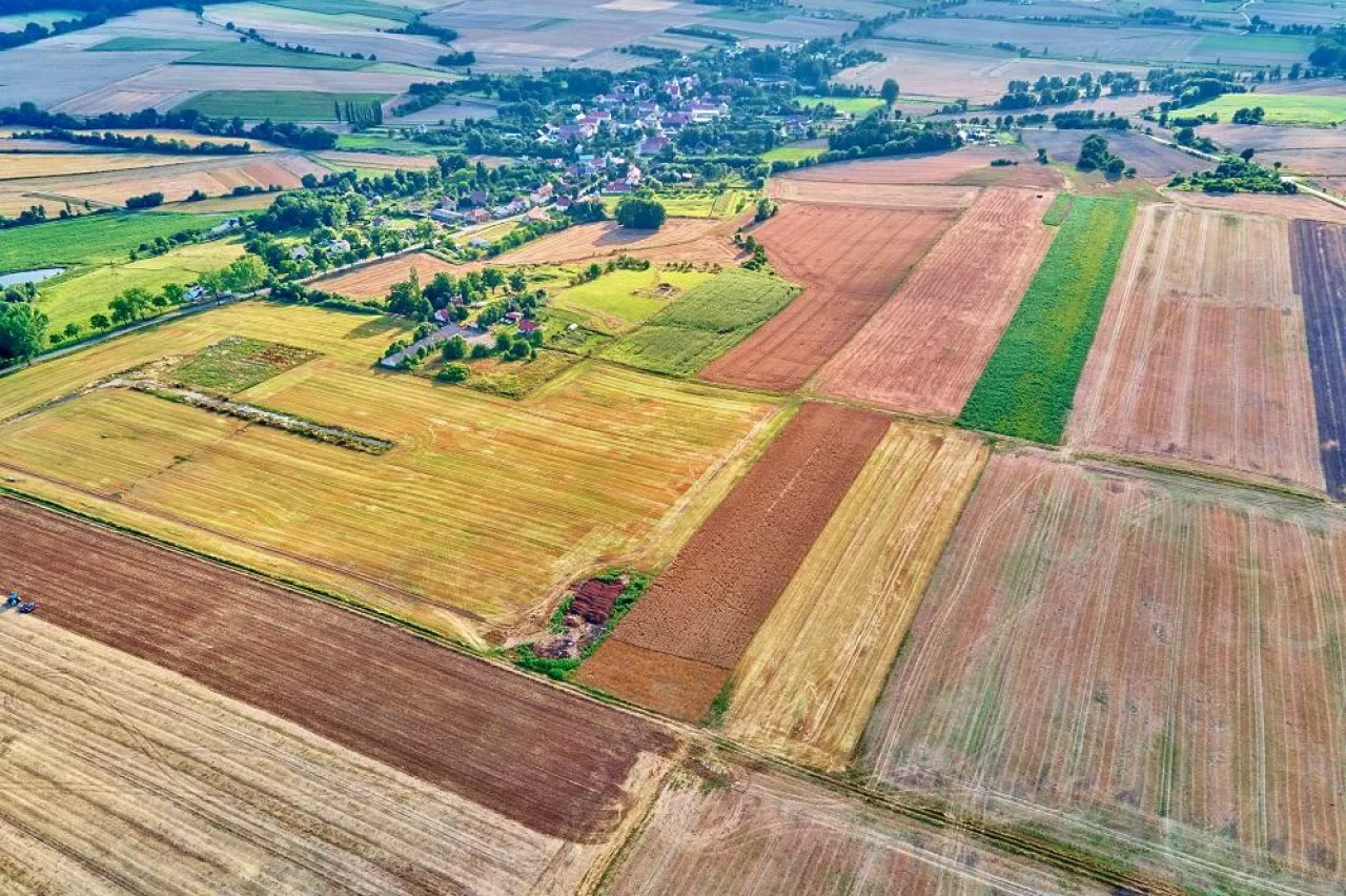 Aerial view of agricultural and green fields in countryside. Nature landscape in summer day, panorama