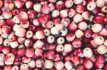 Processed with VSCO with e5 preset