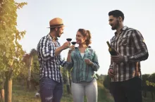 Happy wine tourists tasting wine in vineyard