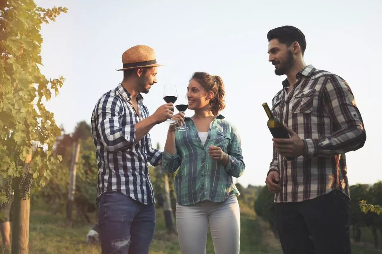 Happy wine tourists tasting wine in vineyard