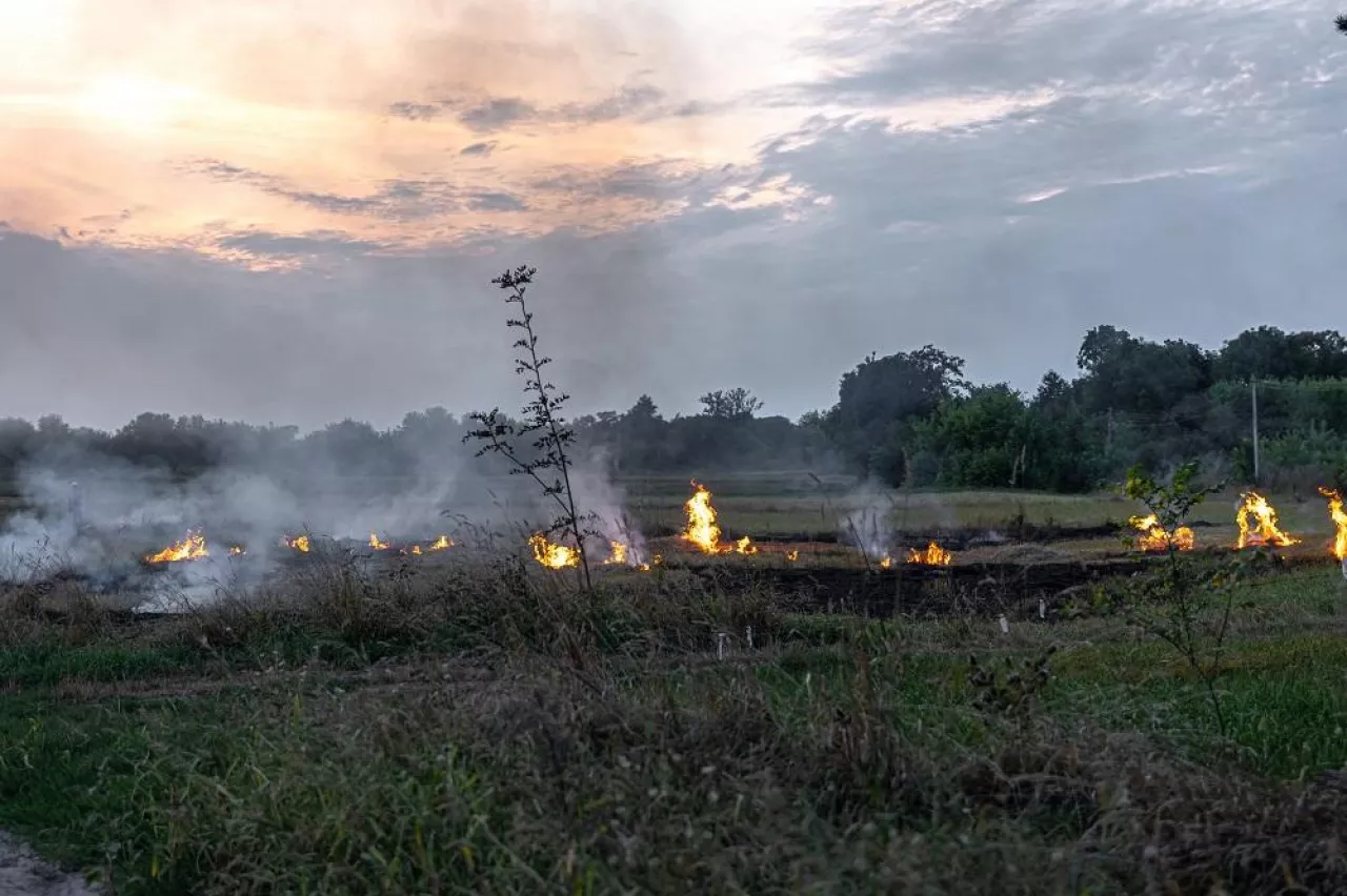 Fire in the steppe, the grass is burning destroying everything in its path.