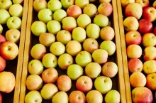 Apple assortment in special wooden boxes that can be used as background