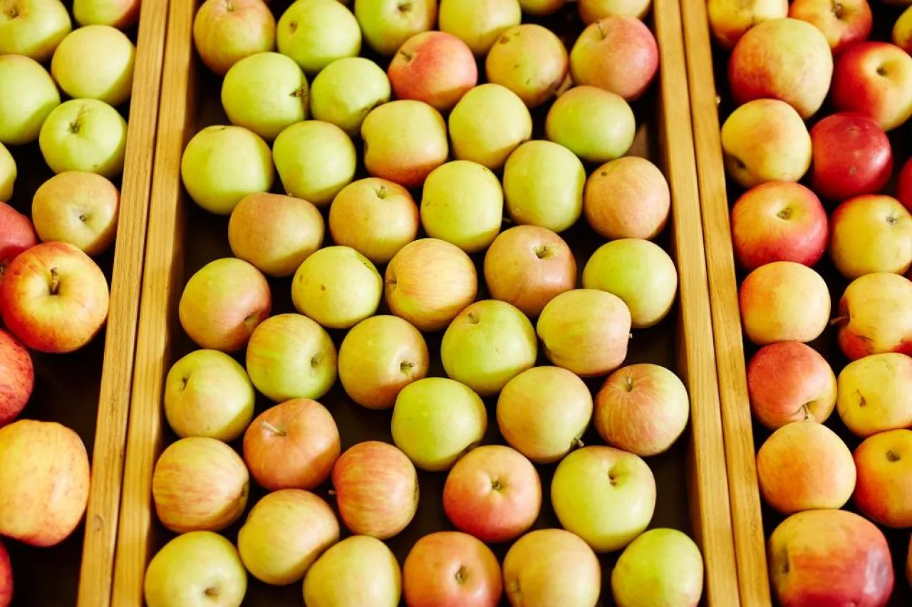 Apple assortment in special wooden boxes that can be used as background