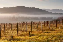 Hot Air Balloon at Sunrise over the Yarra Valley In Winter