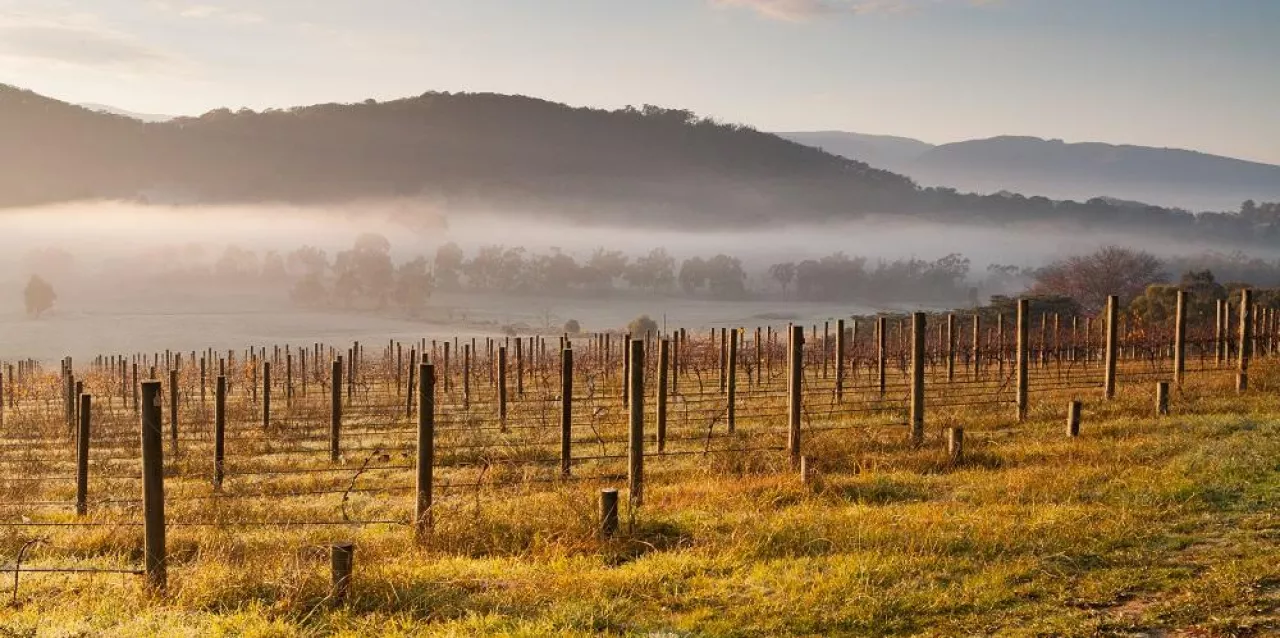 Hot Air Balloon at Sunrise over the Yarra Valley In Winter