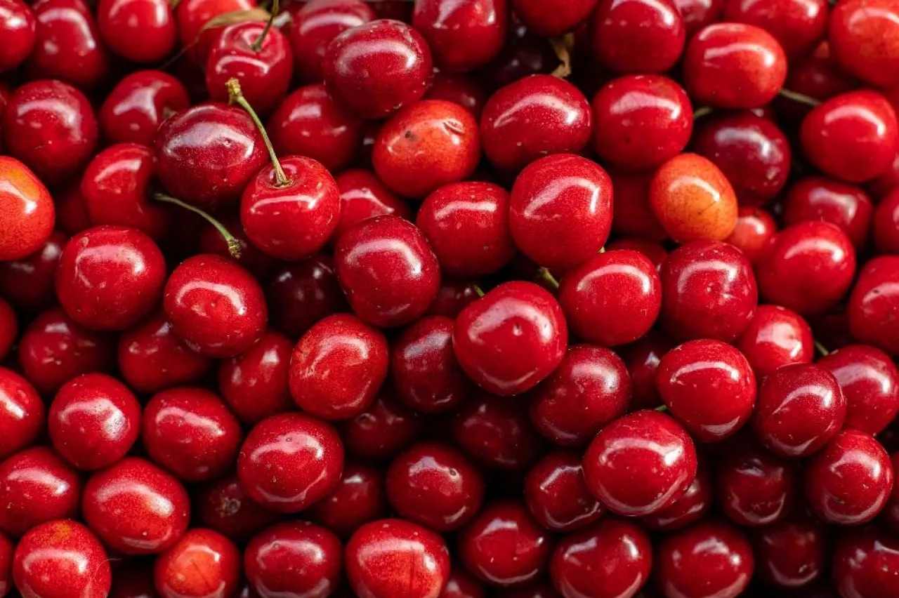 shiny cherries cherry background, ripe beautiful fresh cherry