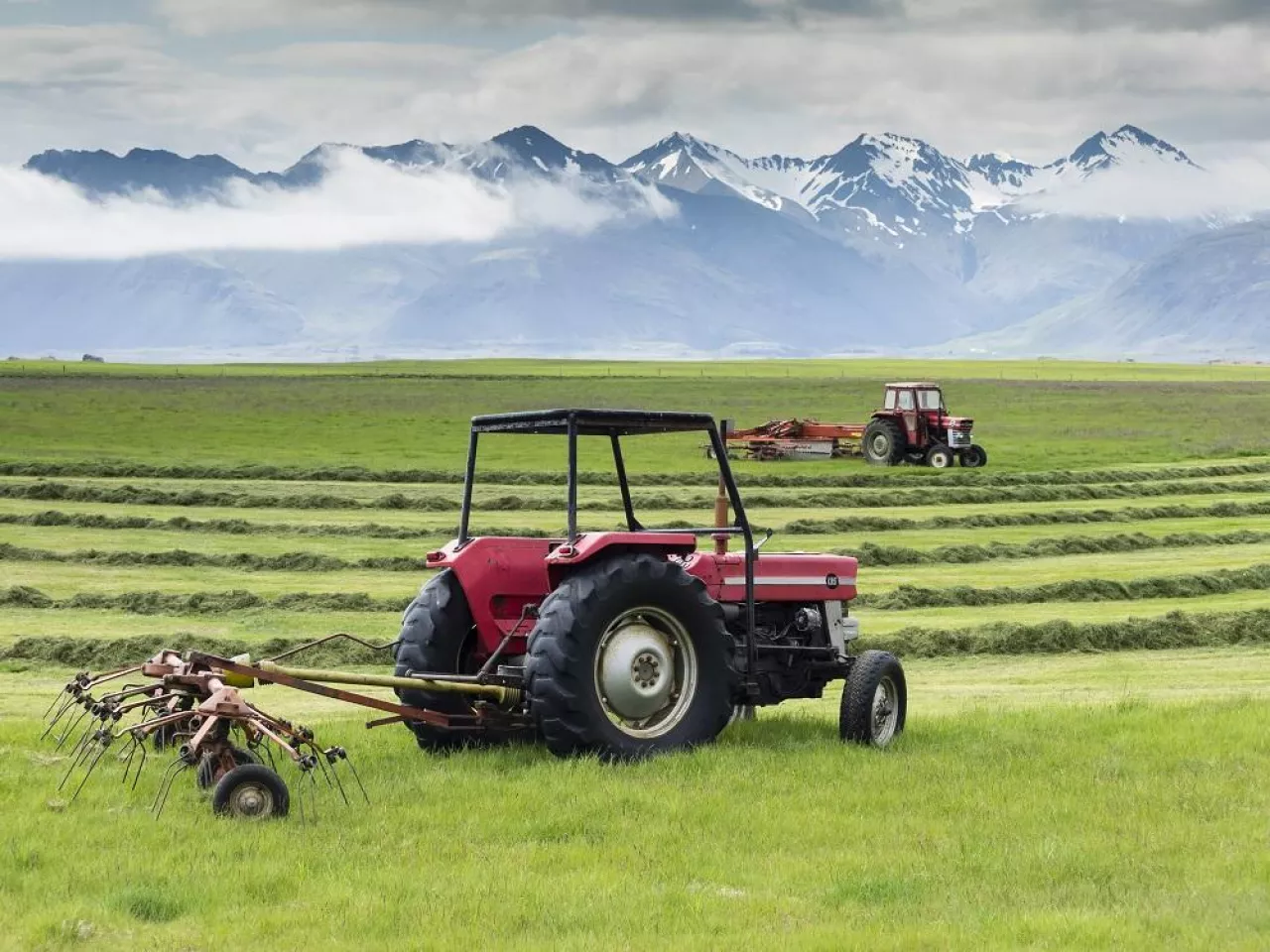 Two red tractors on a farm, working in a field cutting a grass crop.