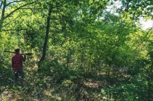 Hunter with a gun on the forest
