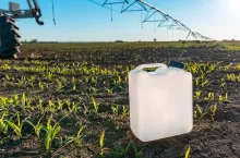Herbicide canister can in corn field, crop protection concept