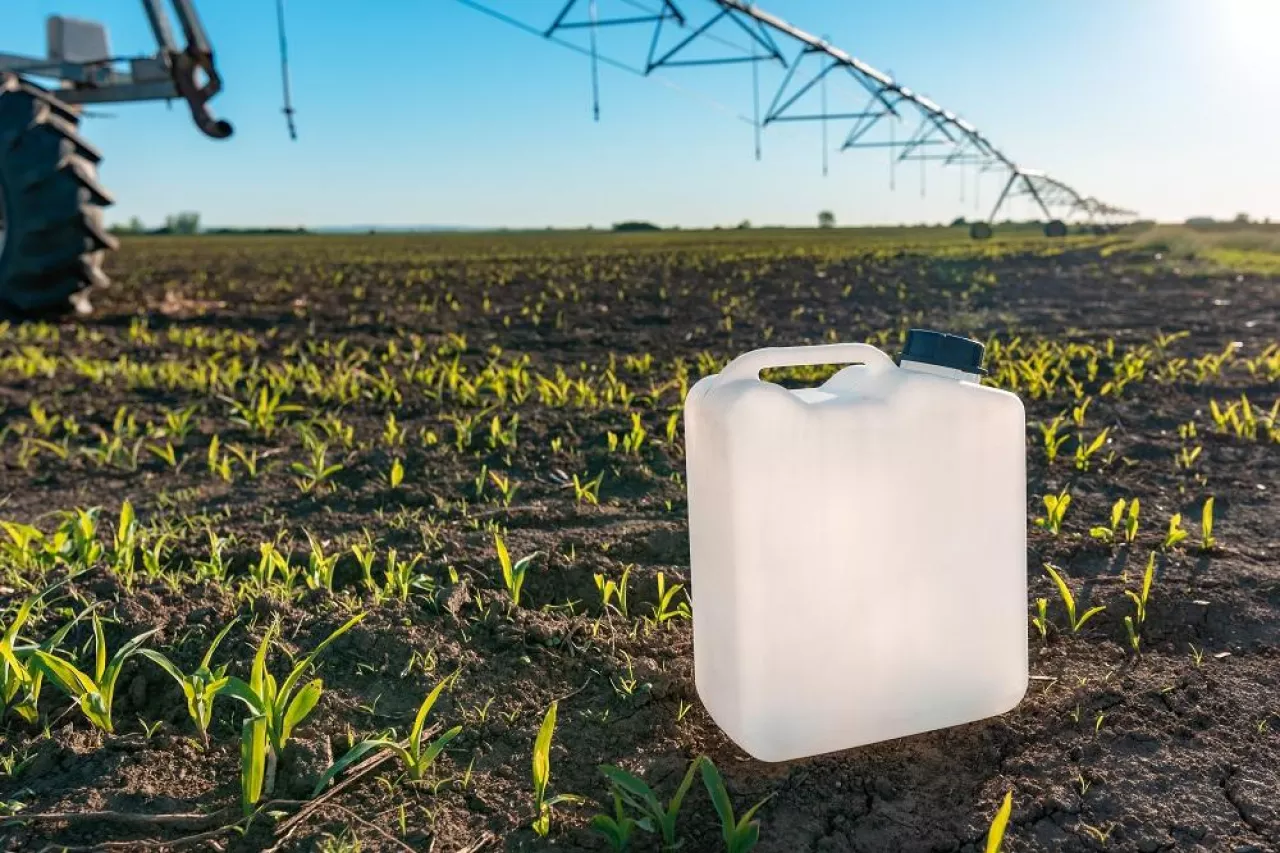 Herbicide canister can in corn field, crop protection concept