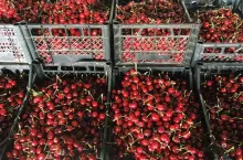 Processed with VSCO with c1 preset