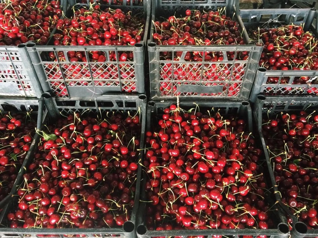 Processed with VSCO with c1 preset