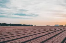 A wide-angle evening view of arable land with a selective focus on the background, the field with a sown ground yet without sprouting during springtime, dramatic sunset sky, Alcochete, Portugal