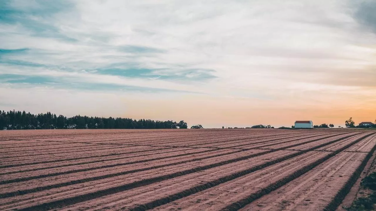 A wide-angle evening view of arable land with a selective focus on the background, the field with a sown ground yet without sprouting during springtime, dramatic sunset sky, Alcochete, Portugal