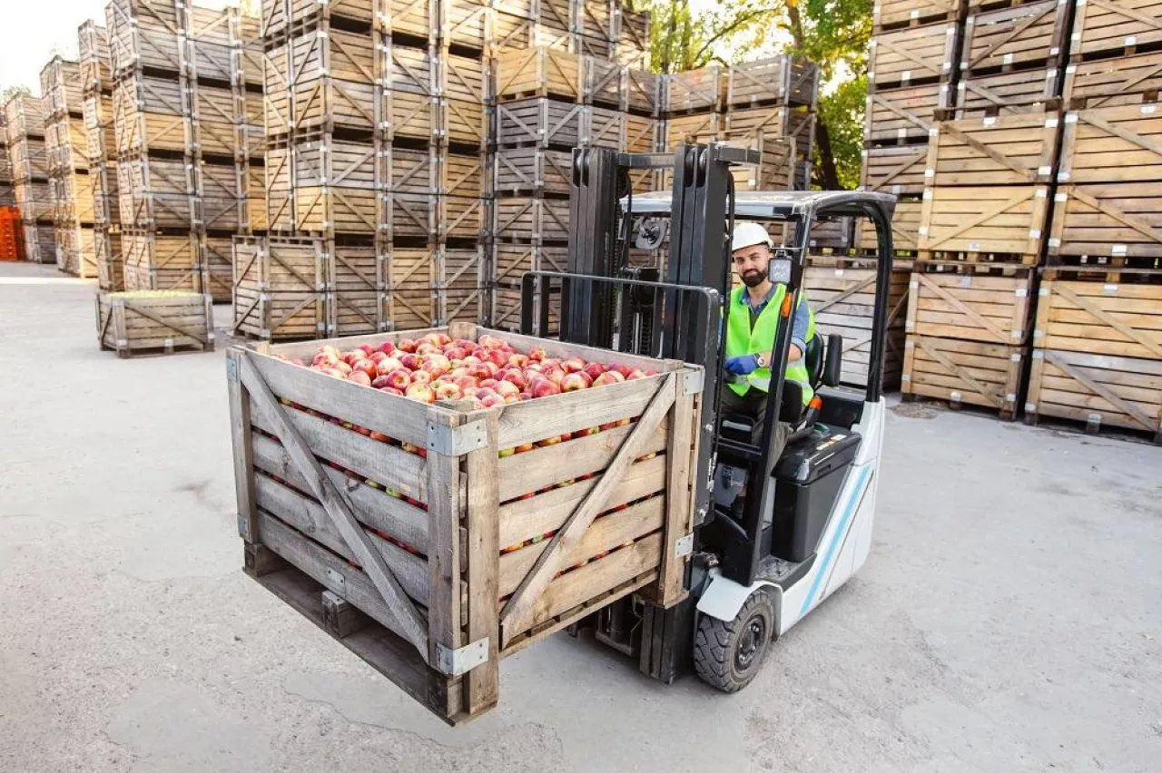 Distribution, sales, production, farm agribusiness in warehouse. Happy male driver in helmet in forklift truck lifts up red ripe apples in container on shelves, on wooden crates background, free space