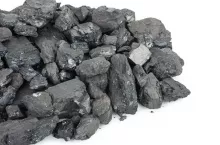 Pieces of coal