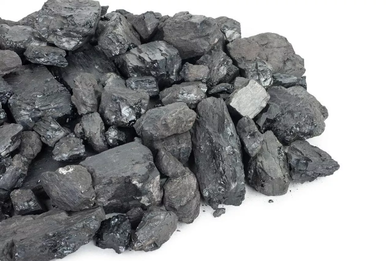 Pieces of coal