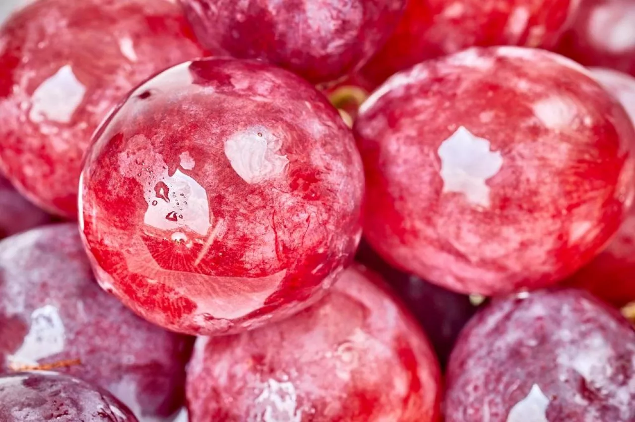 Close up picture of red grapes, selective focus.